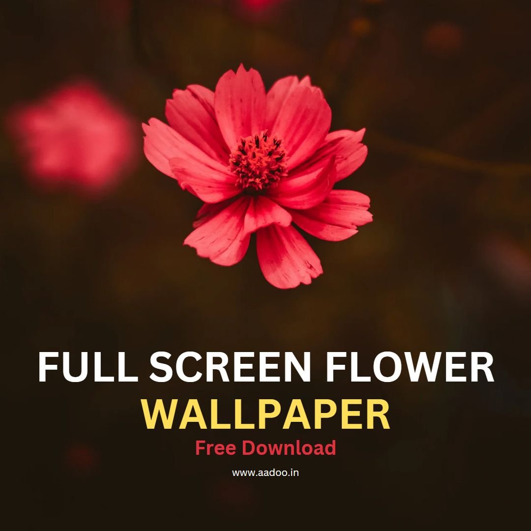 250+ Full Screen Flower Wallpaper HD 